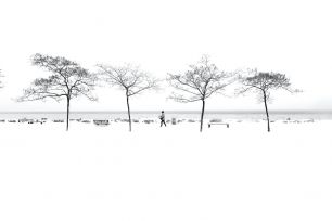 black and white landscape photos person walking by trees in snow